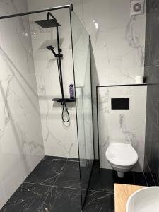 クルジュ・ナポカにあるPiata Unirii Apartment 1のトイレとガラスのシャワー付きのバスルーム +16枚の写真