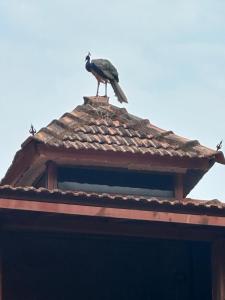 Gallery image of Villa with AC near Gokarna beach Bhavikodla in Gokarn +24 photos