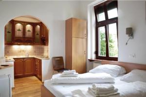 Kuchyňa alebo kuchynka v ubytovaní Vinci Apartman