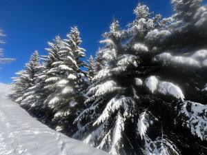 Chalet Etoile during the winter