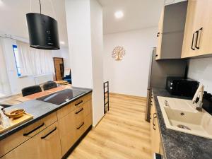 a kitchen with a sink and a counter top at Franco Piešťany Apartments 1 in Piešťany