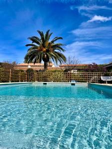 a large swimming pool with a palm tree in the background at Le Râteau Bavoir in Calvi