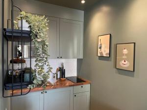 Køkken eller tekøkken på Le Tolstoï