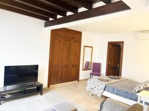 a living room with a bed and a flat screen tv at Studio El Tucan in Nazaret