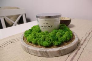 a jar of green moss on a wooden table at Perspective View in Veliko Tŭrnovo