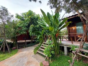 a house with a palm tree in front of it at Why Worry Homestay & Café in Ban Talat Khwai