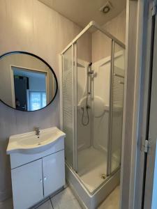 エピナルにあるAppartement plein centre d'epinalのシャワー、洗面台、鏡を備えたバスルーム