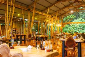 Restaurace v ubytování Danta Corcovado Lodge