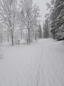 Cabin in close proximity to Hökensås talvel