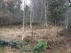 Foto sihtkohas Tidaholm asuva majutusasutuse Cabin in close proximity to Hökensås galeriist
