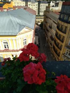 Nespecifikovaný výhled na destinaci Mariánské Lázně nebo výhled na město při pohledu z hotelu