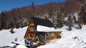 Gorska vila Vasilija v zimě