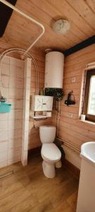 a bathroom with a toilet and a sink at Domki na Chabrowej in Augustów +30 photos
