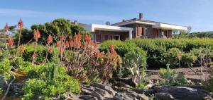 a house with a garden with flowers in front of it at Villa Gino in Stintino
