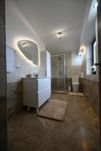 a bathroom with a shower and a sink and a toilet at Casa Pop in Râşnov