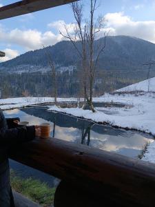 Billede fra billedgalleriet på Cottage Svitanok i Lopushnoye