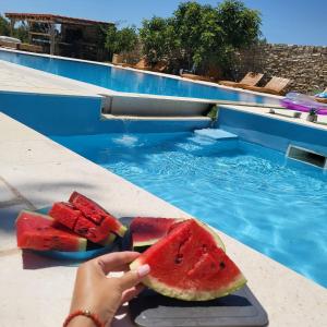 Fotografie z fotogalerie ubytování "The 7th Heaven Garden" Villa v destinaci Vodice