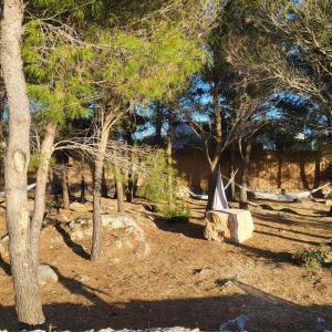 Fotografie z fotogalerie ubytování "The 7th Heaven Garden" Villa v destinaci Vodice