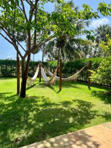 Vườn quanh Casa Barra Nova