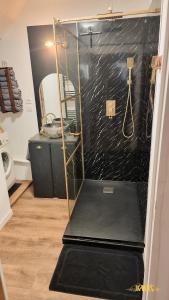 a bathroom with a shower with a black wall at Bel appartement proche Annecy Aix-les-bains Genève in Seyssel