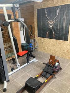 ein Raum mit einem Fitnessstudio mit einem Hirsch an der Wand in der Unterkunft Magnifique chalet bois pour 16 personnes à 1600m in La Cabanasse