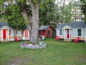 a group of houses with red chairs around a tree at Saratoga Cabins in Malta