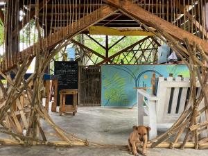 Coco Bamboo Beach Camp餐厅或其他用餐的地方