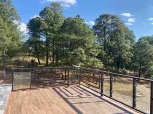 Příroda nedaleko chaty + 11 fotografií