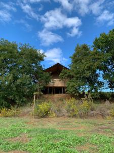 a house on top of a hill with trees at Glamping Podere Angiotto LODGE QUERCIA in Magliano in Toscana