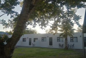 a white building with a tree in front of it at Casablanca B&B in Beaufort West