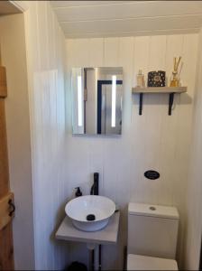 a bathroom with a sink and a toilet at Tolverne Luxury Shepherd's Hut in Holsworthy