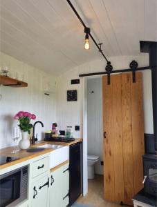 a kitchen with a sink and a microwave at Tolverne Luxury Shepherd's Hut in Holsworthy +6 photos