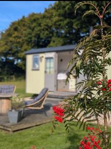 a tiny house in a yard with a bench and flowers at Tolverne Luxury Shepherd's Hut in Holsworthy