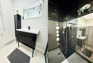a bathroom with a sink and a shower at Le Miraumont - Centre - Jardin in Calais +24 photos
