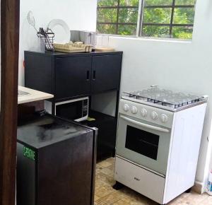 Dapur atau dapur kecil di HOTEL Ecológico BLUEROCK