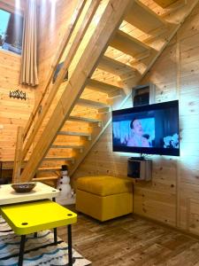 Μια τηλεόραση ή/και κέντρο ψυχαγωγίας στο Apartmani Božana Vojinović