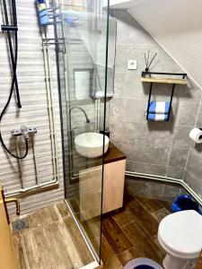 Ένα μπάνιο στο Apartmani Božana Vojinović +37 φωτογραφίες