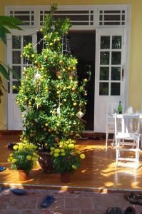 Zahrada ubytování Mango Garden Hoi An Homestay