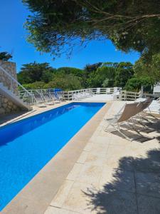 a swimming pool with lounge chairs and a tree at Villa Agostina Apart & Spa in Mar de las Pampas