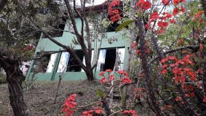 a house surrounded by trees with red flowers at Poente Guest House in Conceição da Ibitipoca