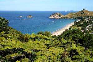 - une vue sur une plage avec des bateaux dans l'eau dans l'établissement Hahei Beach Escape, à Hahei