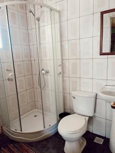 a bathroom with a shower and a toilet and a sink at Hostal El Fogón in San Vicente de Taguatagua