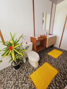 Koupelna v ubytování Moanaiti Lodge + 37 fotografií