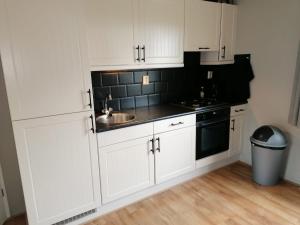 Kuchyň nebo kuchyňský kout v ubytování Maison Louise