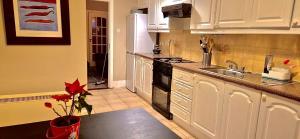Kuchyň nebo kuchyňský kout v ubytování Whole Private Flat - Central Dublin