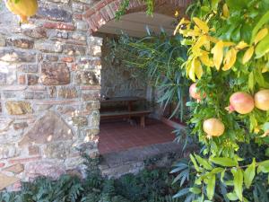 Vonkajšia záhrada v ubytovaní Agriturismo La Bulletta