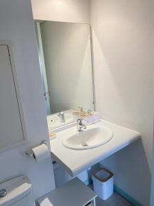 ルルドにあるStudio near train station and sanctuaryの洗面台と鏡のあるバスルーム