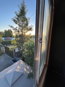 Fotografie z fotogalerie ubytování Tiny house v destinaci Talagante