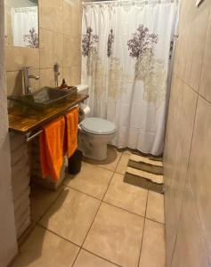 a bathroom with a sink and a toilet and a shower at El Cortijo Tinogasta in Tinogasta +14 photos