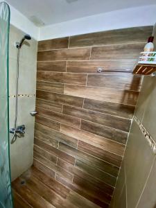 een badkamer met een douche en houten tegels bij Loft Avis in San Luis